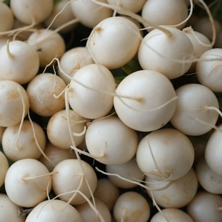 Picture of local hakurei turnips