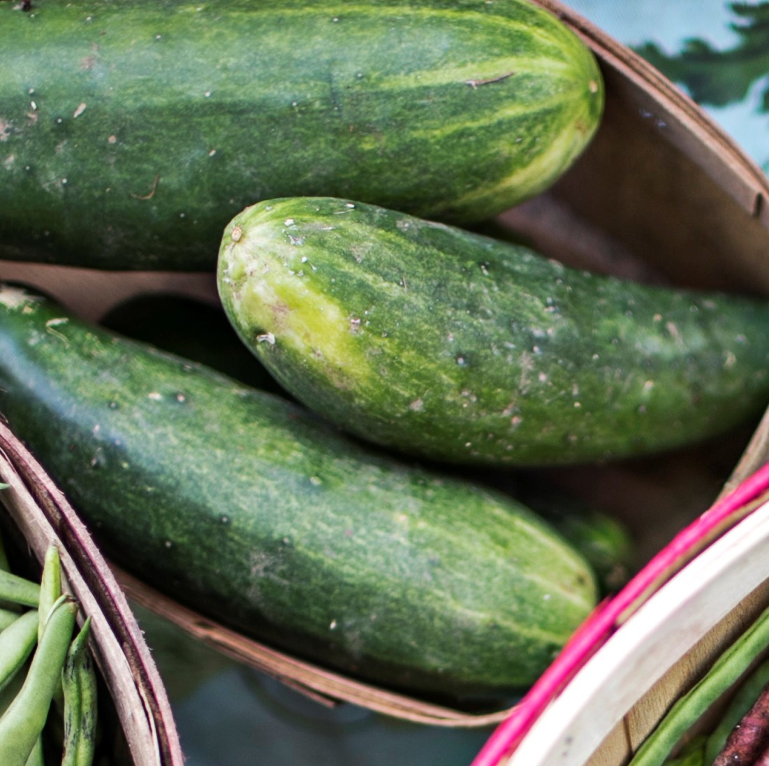 Picture of local cucumbers