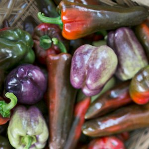 Picture of local sweet peppers